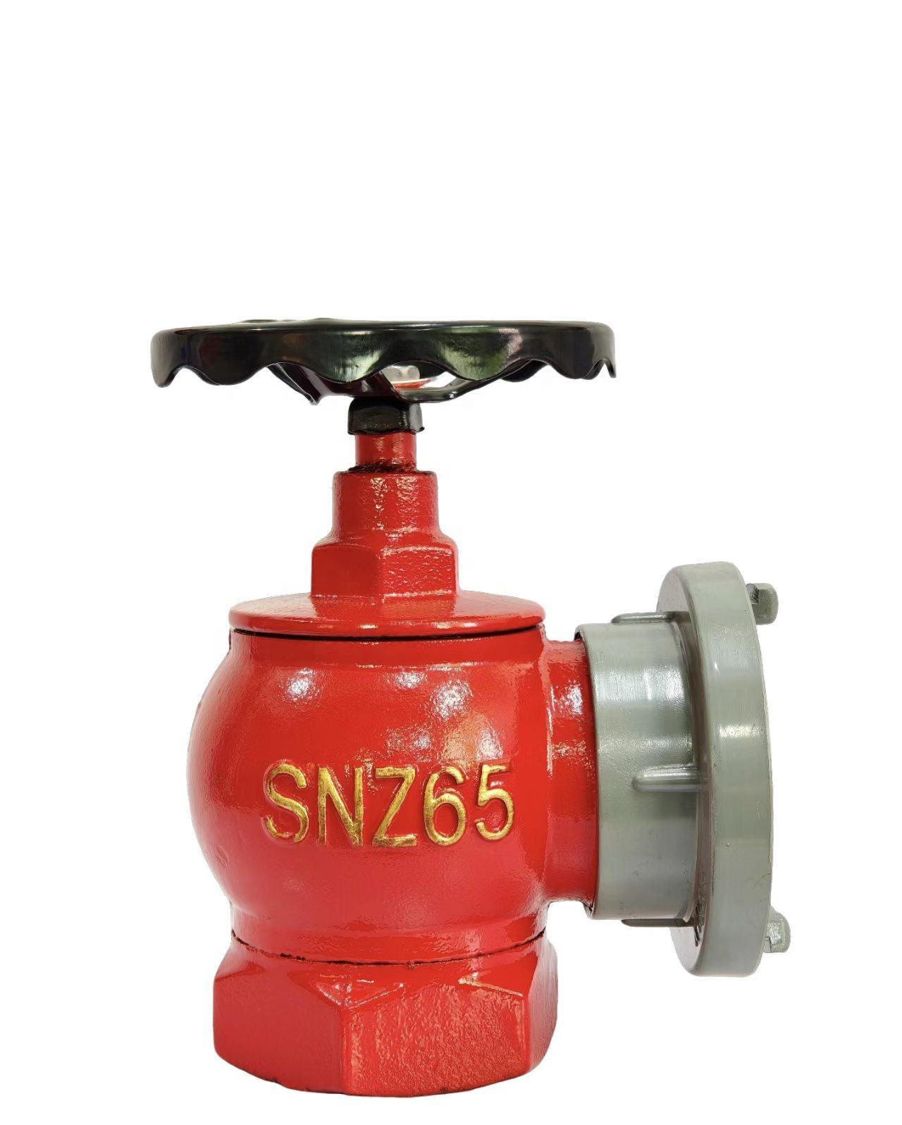Hydrants & Pump Connections
