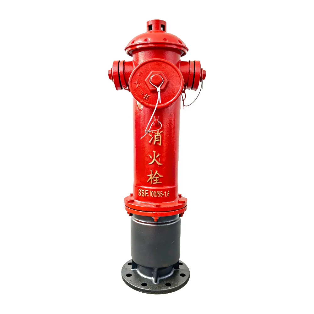 Overground Antifreeze Fire Hydrant (SS100/65)